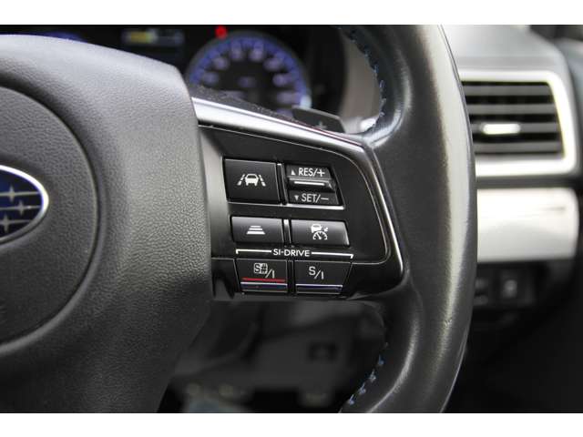 スバル レヴォーグ ２．０ ＧＴ－Ｓ アイサイト ４ＷＤ H28年 (関東) 99