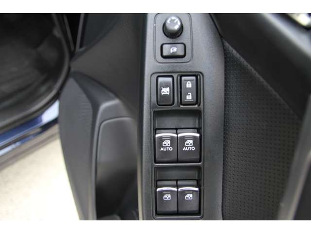 スバル フォレスター ２．０ エックスブレイク ４ＷＤ H28年 (関東) 99