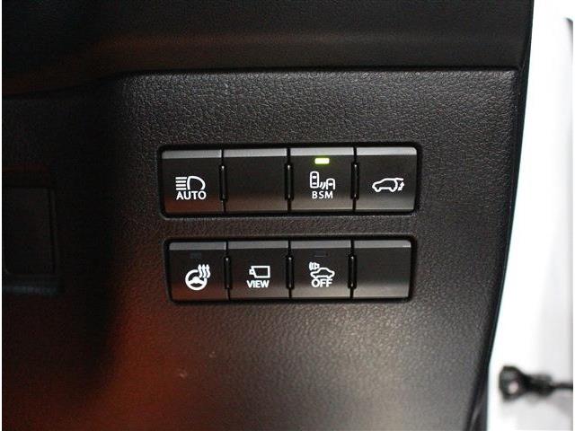 レクサス ＮＸ３００ｈ ３００Ｈ Ｆスポーツ ４ＷＤ H29年 (北海道) 99