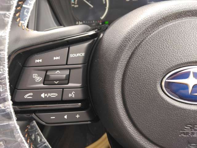 スバル フォレスター　ハイブリッド ２．５ プレミアム Ｓ：ＨＥＶ ＥＸ ４ＷＤ R8年 () 99