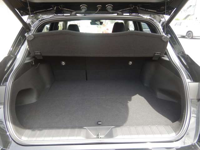 レクサス ＬＢＸ モリゾウ ＲＲ ４ＷＤ R7年 (近畿) 99