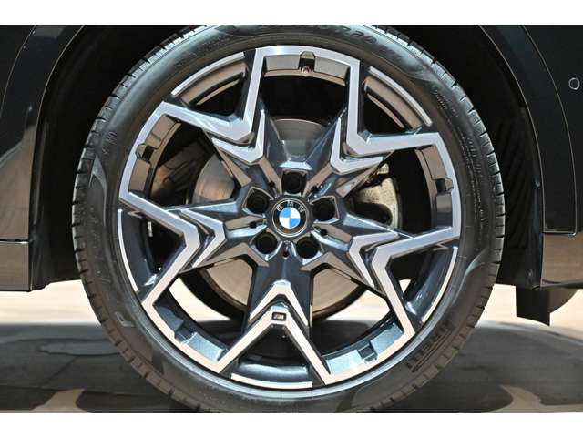 ＢＭＷ Ｘ２ Ｘドライブ２０Ｉ Ｍスポーツ ４ＷＤ R6年 (関東) 99