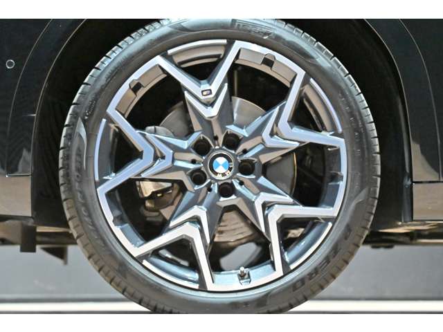 ＢＭＷ Ｘ２ Ｘドライブ２０Ｉ Ｍスポーツ ４ＷＤ R6年 (関東) 99