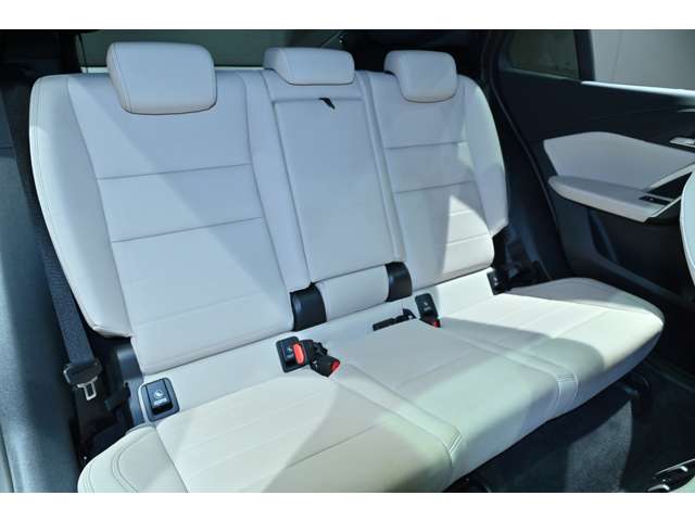 ＢＭＷ Ｘ２ Ｘドライブ２０Ｉ Ｍスポーツ ４ＷＤ R6年 (関東) 99