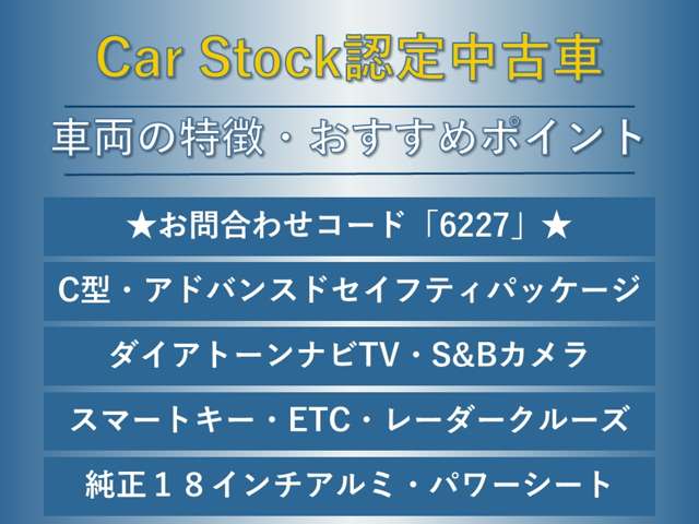 スバル レヴォーグ １．６ ＧＴ－Ｓ アイサイト ４ＷＤ H29年 (東海) 99