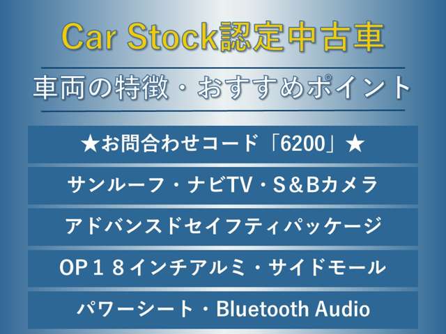 スバル レヴォーグ １．６ ＧＴ－Ｓ アイサイト ４ＷＤ H28年 (東海) 99