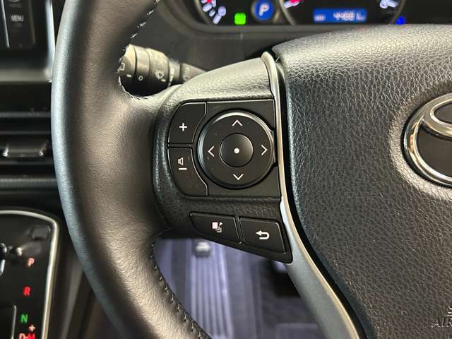 トヨタ ヴォクシー ２．０ ＺＳ H28年 (甲信越・北陸) 99