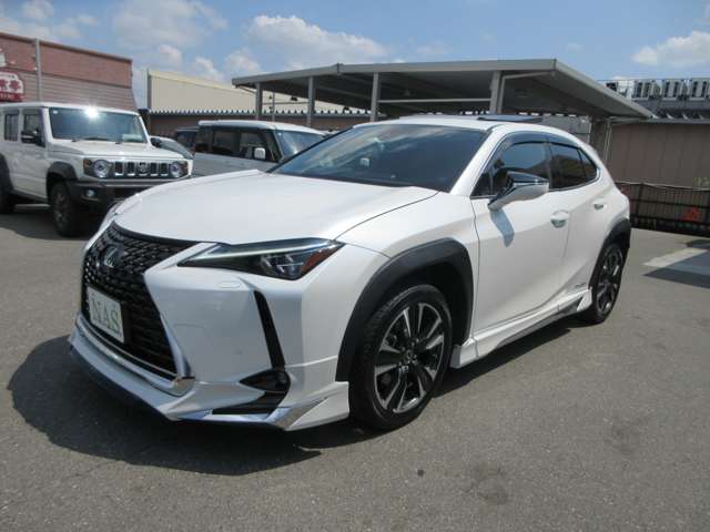 レクサス ＵＸ２５０ｈ バージョンＬ R4年 (近畿) 99