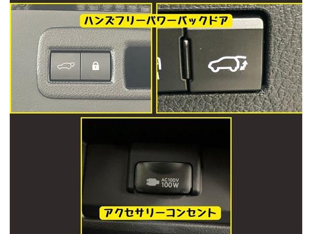 レクサス ＮＸ３００ｈ ３００Ｈ バージョンＬ ４ＷＤ R2年 (東海) 99