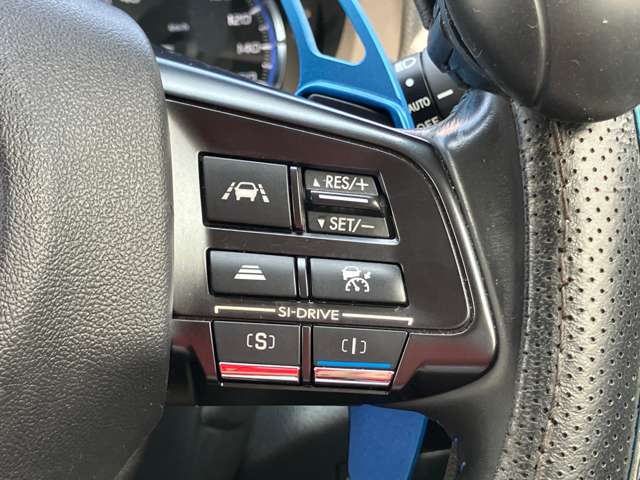 スバル レヴォーグ １．６ ＧＴ－Ｓ アイサイト ４ＷＤ H28年 (関東) 99