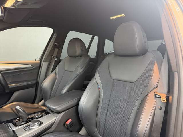 ＢＭＷ Ｘ３ Ｘドライブ２０Ｄ Ｍスポーツ ディーゼルターボ ４ＷＤ H29年 (関東) 99