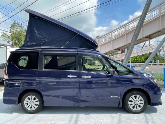 日産 セレナ ピーズクラフト R1年 (関東) 99