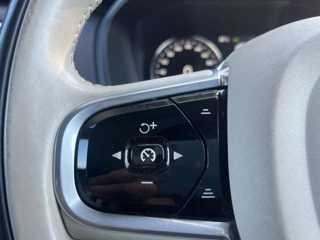 ボルボ ＸＣ９０ Ｔ６ ＡＷＤ インスクリプション ４ＷＤ H29年 (関東) 99