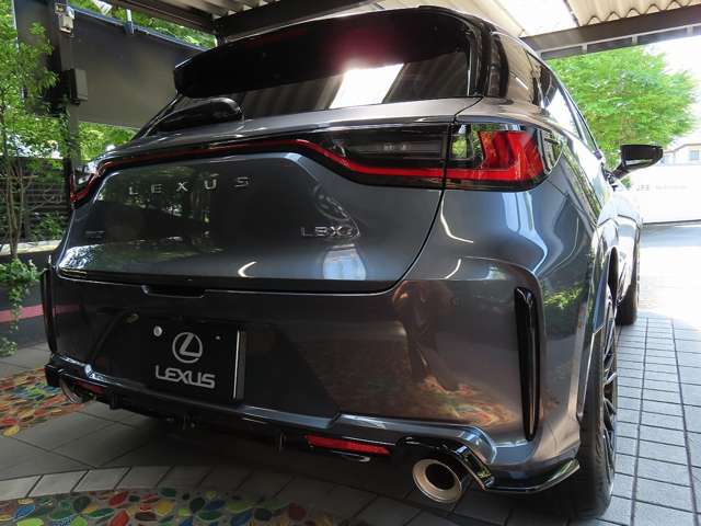 レクサス ＬＢＸ モリゾウ ＲＲ ４ＷＤ R7年 (関東) 99