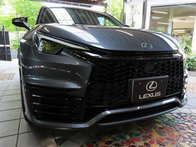 レクサス ＬＢＸ モリゾウ ＲＲ ４ＷＤ R7年 (関東) 99