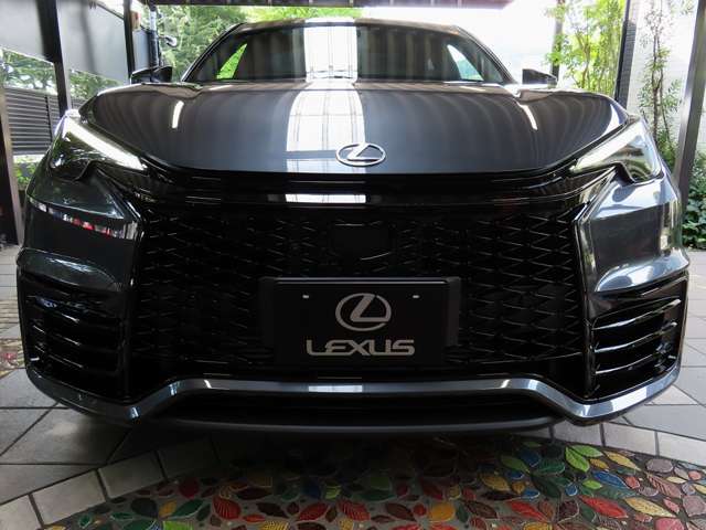 レクサス ＬＢＸ モリゾウ ＲＲ ４ＷＤ R7年 (関東) 99