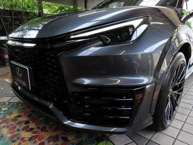 レクサス ＬＢＸ モリゾウ ＲＲ ４ＷＤ R7年 (関東) 99
