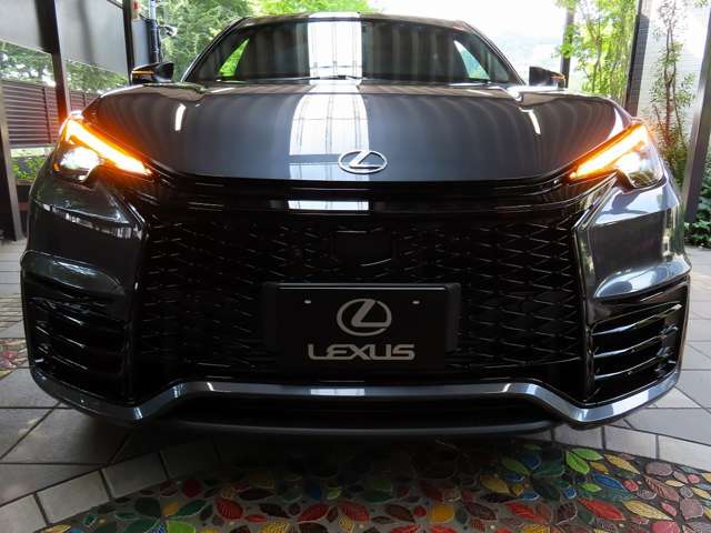 レクサス ＬＢＸ モリゾウ ＲＲ ４ＷＤ R7年 (関東) 99