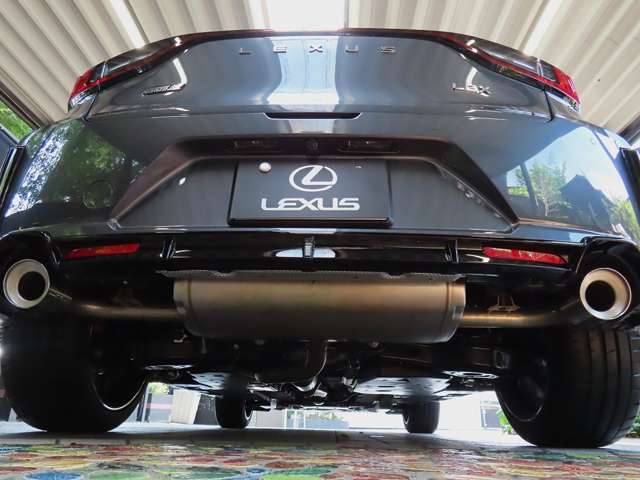 レクサス ＬＢＸ モリゾウ ＲＲ ４ＷＤ R7年 (関東) 99