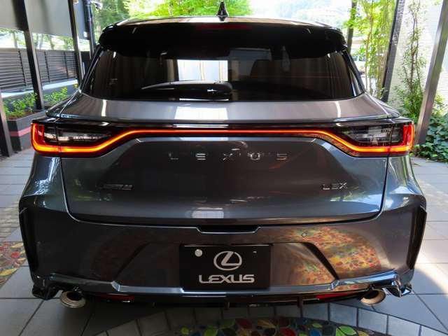レクサス ＬＢＸ モリゾウ ＲＲ ４ＷＤ R7年 (関東) 99