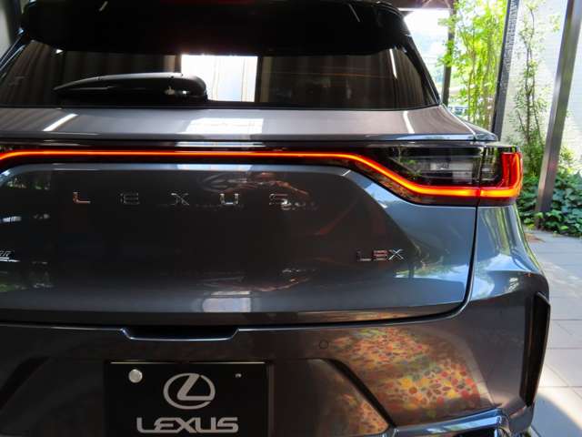 レクサス ＬＢＸ モリゾウ ＲＲ ４ＷＤ R7年 (関東) 99