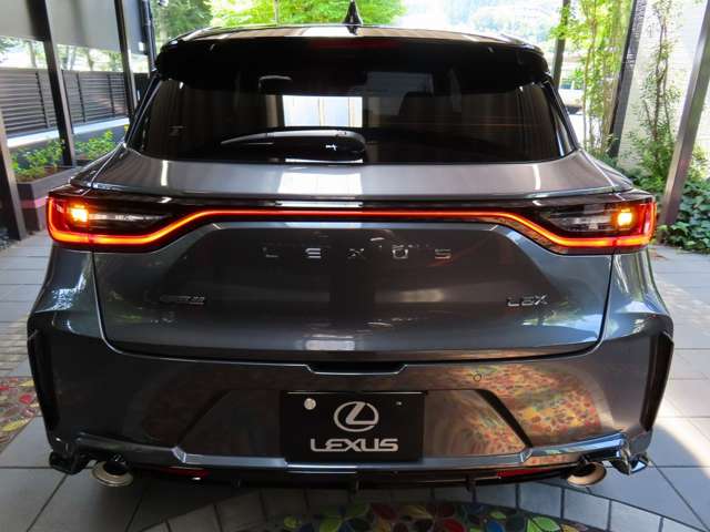 レクサス ＬＢＸ モリゾウ ＲＲ ４ＷＤ R7年 (関東) 99