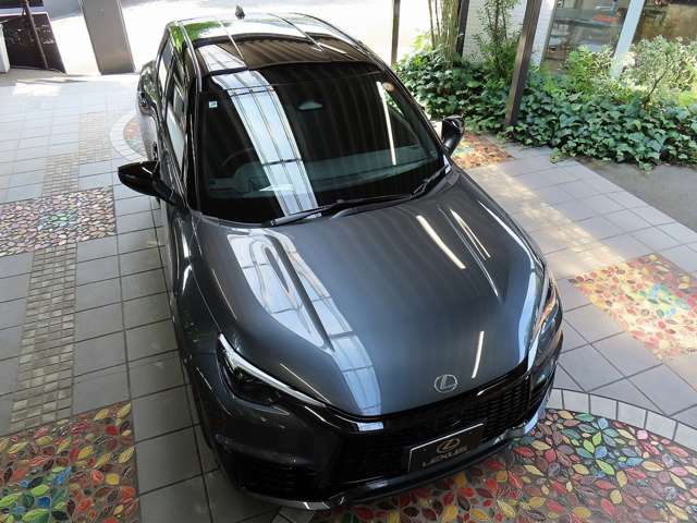 レクサス ＬＢＸ モリゾウ ＲＲ ４ＷＤ R7年 (関東) 99