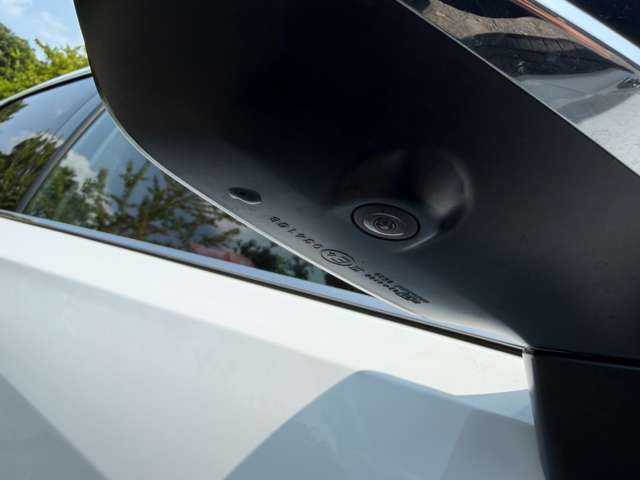 レクサス ＲＸ４５０ｈ ４５０Ｈ Ｆスポーツ ４ＷＤ R3年 (近畿) 99