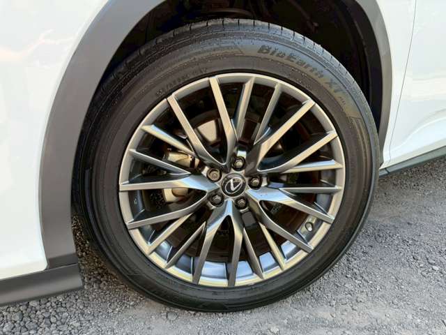 レクサス ＲＸ４５０ｈ Ｆスポーツ R2年 (近畿) 99