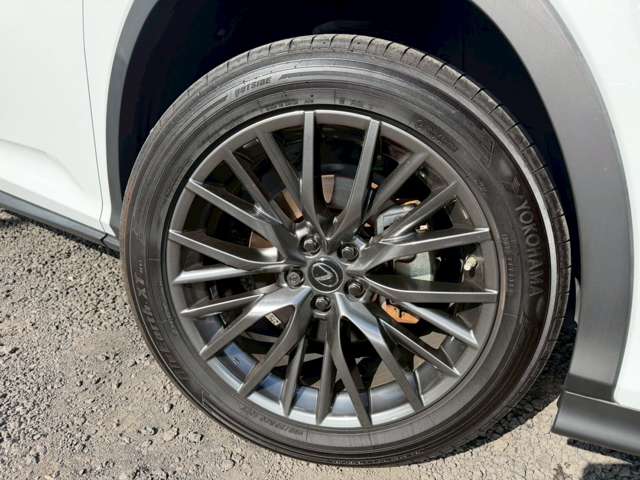 レクサス ＲＸ４５０ｈ Ｆスポーツ R2年 (近畿) 99