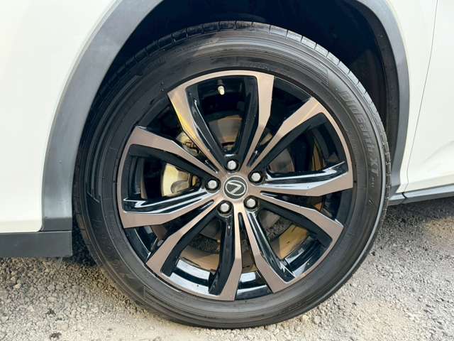 レクサス ＲＸ４５０ｈ バージョンＬ R2年 (近畿) 99