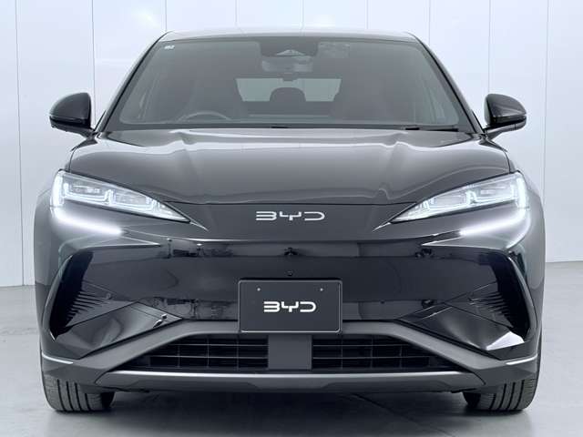 ＢＹＤ ＢＹＤシーライオン７ ベースモデル R7年 (関東) 99
