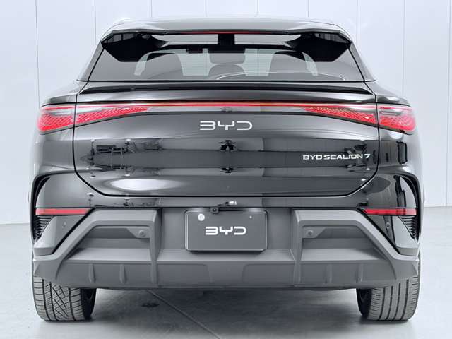 ＢＹＤ ＢＹＤシーライオン７ ベースモデル R7年 (関東) 99