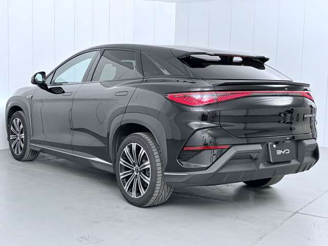 ＢＹＤ ＢＹＤシーライオン７ ベースモデル R7年 (関東) 99
