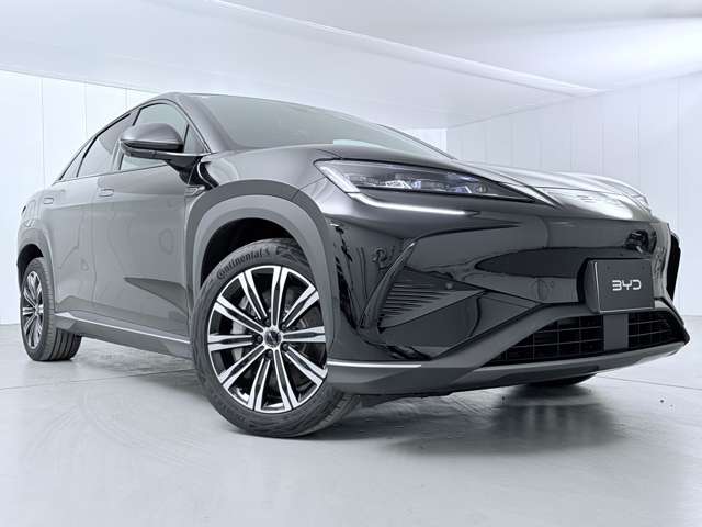 ＢＹＤ ＢＹＤシーライオン７ ベースモデル R7年 (関東) 99