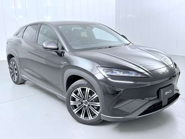 ＢＹＤ ＢＹＤシーライオン７ ベースモデル R7年 (関東) 99