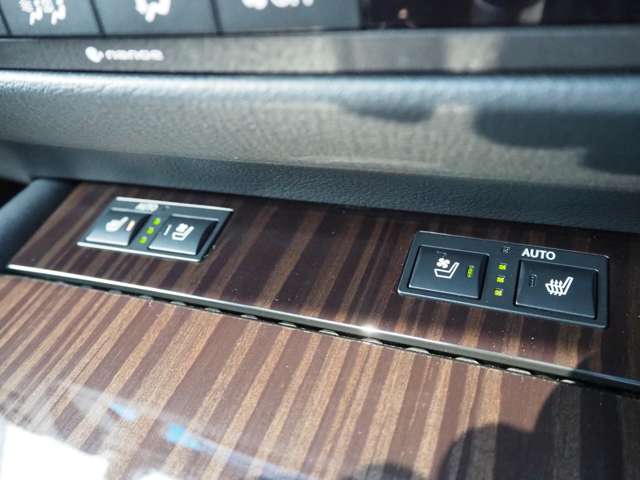 レクサス ＧＳ２５０ Ｉパッケージ H28年 (甲信越・北陸) 99