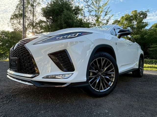 レクサス ＲＸ４５０ｈ Ｆスポーツ R2年 (近畿) 99