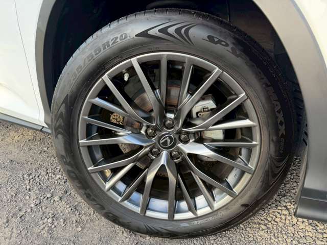 レクサス ＲＸ４５０ｈ Ｆスポーツ R2年 (近畿) 99