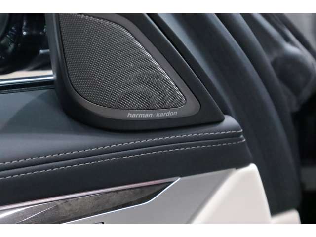 ＢＭＷ ７シリーズ ７４０ｉ H27年 (関東) 99