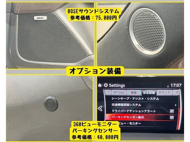 マツダ ＣＸ−８ ２．２ ＸＤ プロアクティブ ディーゼルターボ H30年 () 99