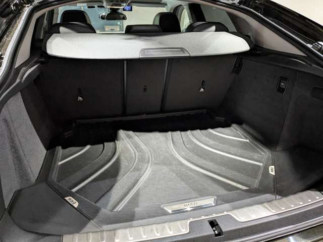 ＢＭＷ Ｘ６ Ｘドライブ ３５Ｉ ４ＷＤ H28年 () 99