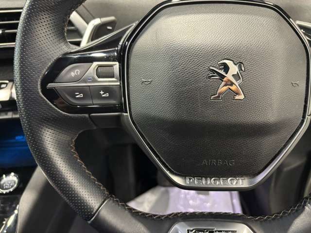 プジョー ３００８ ＧＴライン R2年 (甲信越・北陸) 99
