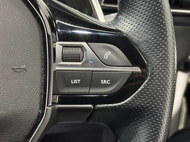 プジョー ３００８ ＧＴライン R2年 (甲信越・北陸) 99
