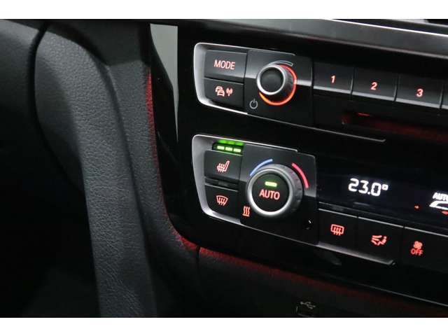 ＢＭＷアルピナ Ｄ４クーペ ビターボ H30年 (関東) 99