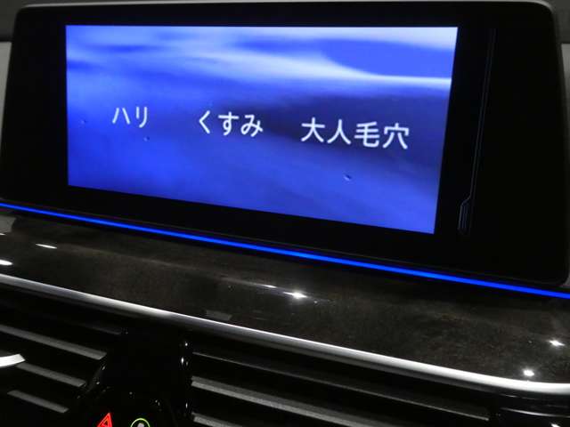 ＢＭＷ ５シリーズ ５４０Ｉ Ｘドライブ Ｍスポーツ ４ＷＤ H29年 (関東) 99