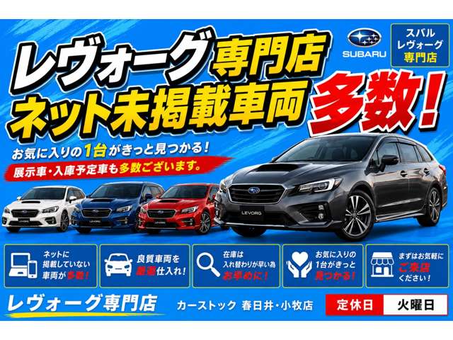 スバル レガシィアウトバック ２．５ リミテッド ４ＷＤ H28年 (東海) 99