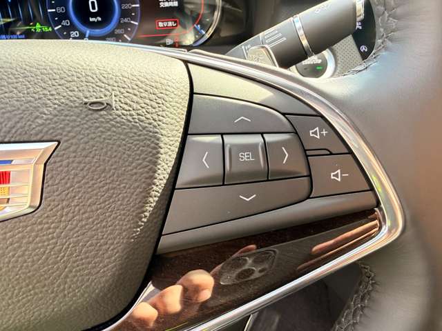 キャデラック ＣＴ６ プラチナム ４ＷＤ H30年 (東海) 99
