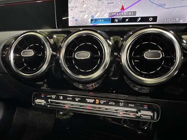 メルセデスベンツ Ａクラス Ａ２５０ ４マチック ＡＭＧライン ４ＷＤ R2年 (関東) 99
