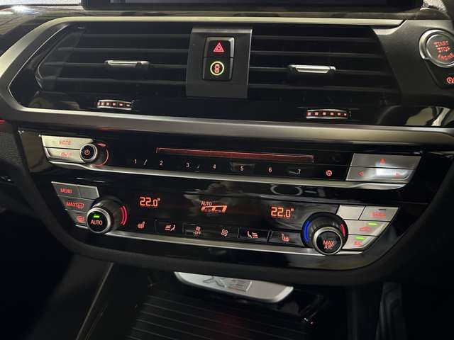 ＢＭＷ Ｘ３ Ｘドライブ２０Ｄ Ｍスポーツ ディーゼルターボ ４ＷＤ H30年 (関東) 99